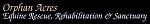 datacard/list/710/343710/orphan acres logo150.jpg listGraphic